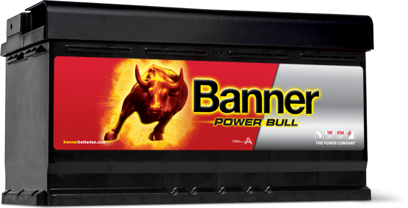 POWER BULL 95Ah P95 33