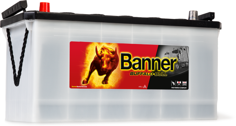 BUFFALO BULL 100Ah 600 35