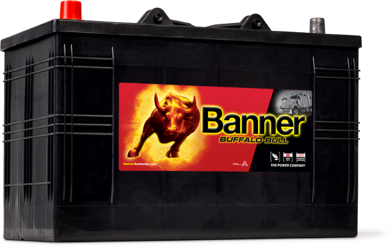 BUFFALO BULL 110Ah 610 48