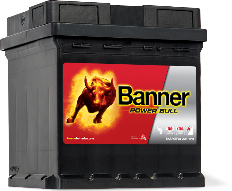 POWER BULL 42Ah P42 08
