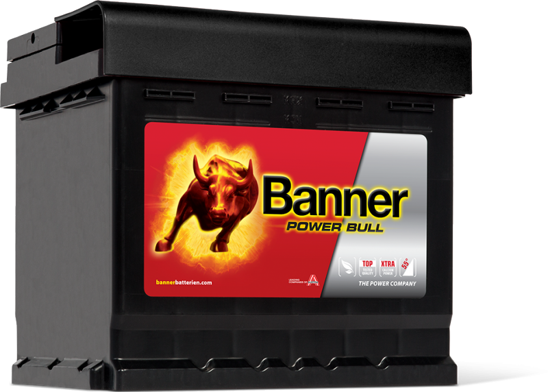 POWER BULL 50Ah P50 03