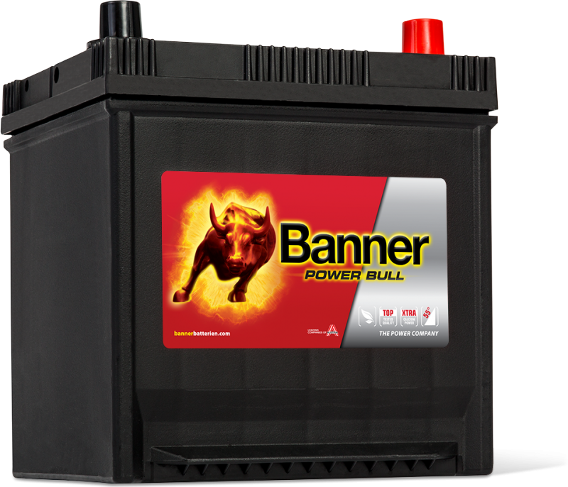 POWER BULL 50Ah P50 41 ASIA