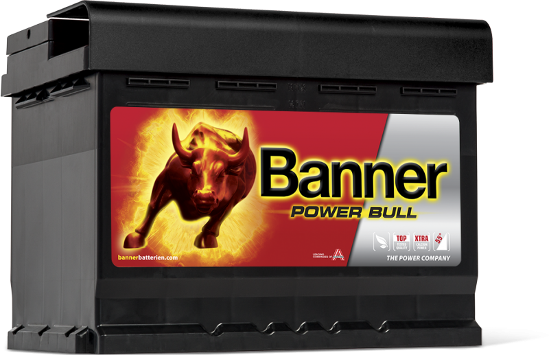 POWER BULL 60Ah P60 09