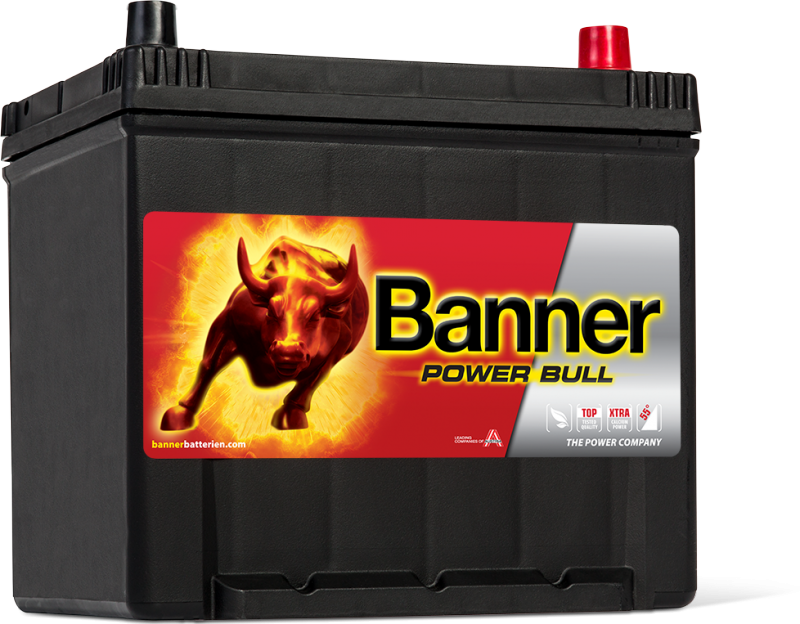 POWER BULL 60Ah P60 62 ASIA