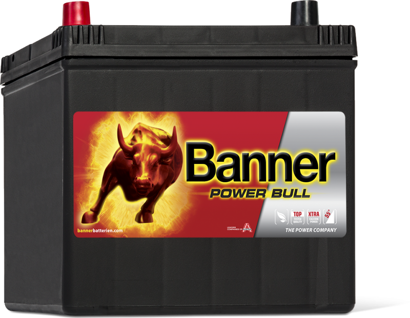 POWER BULL 60Ah P60 69 ASIA
