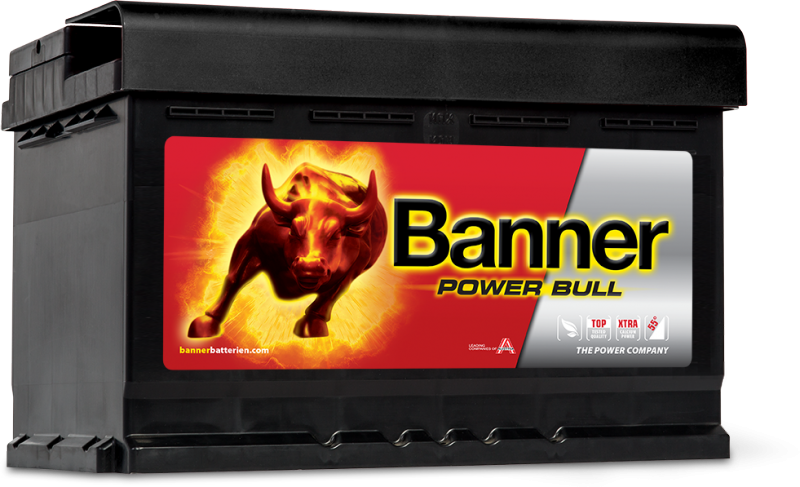 POWER BULL 74Ah P74 12