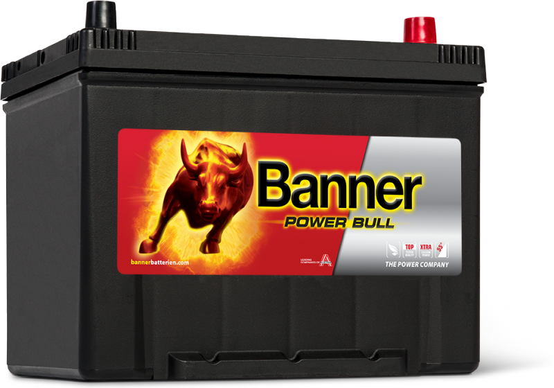 POWER BULL 80Ah P80 09 ASIA