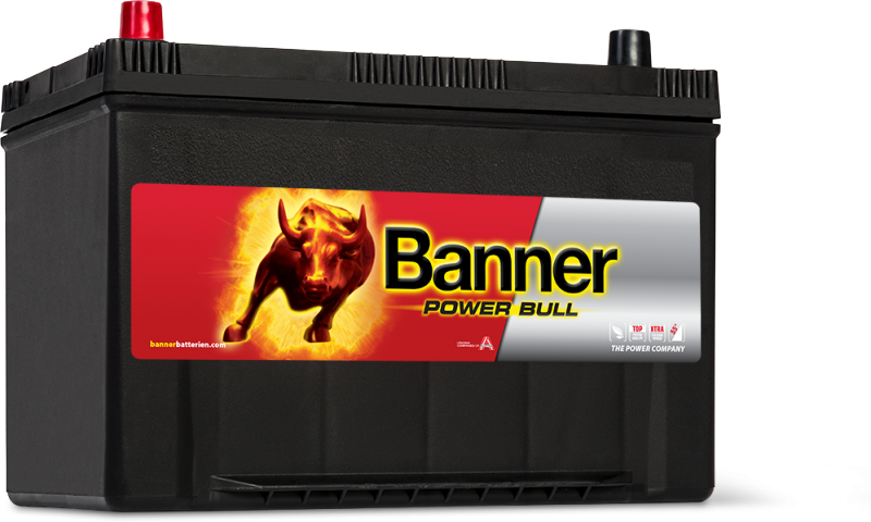 POWER BULL 95Ah P95 05 ASIA