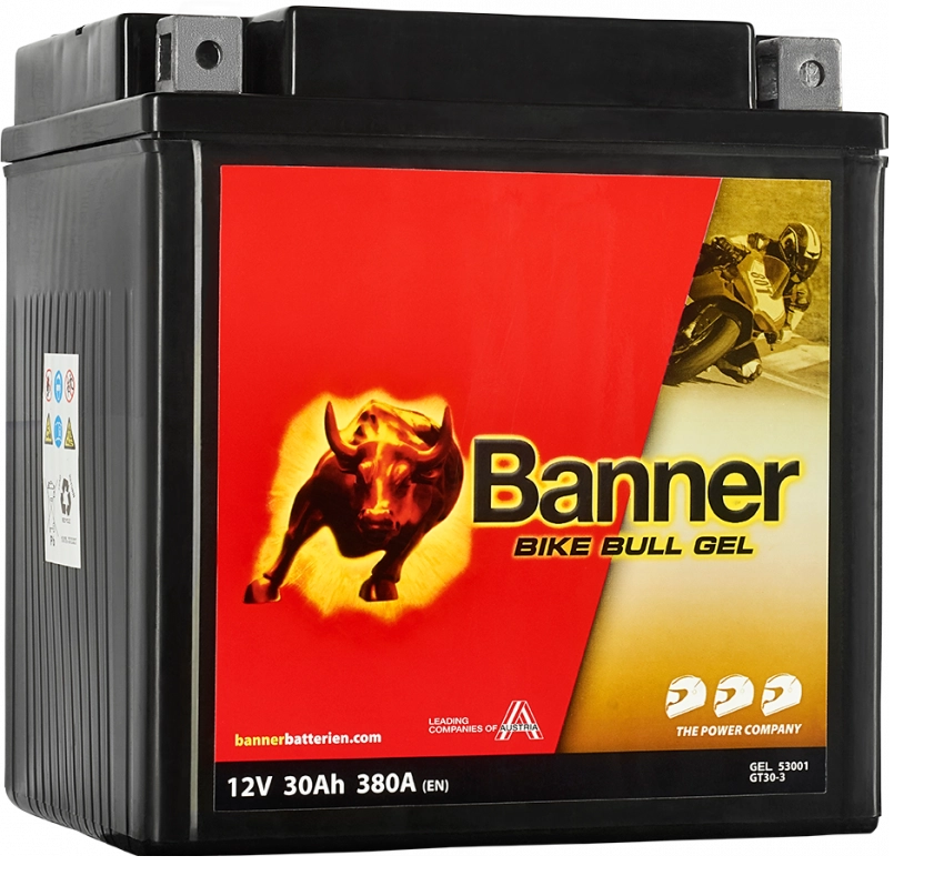 BIKE BULL GEL 530 01 / GT30-3