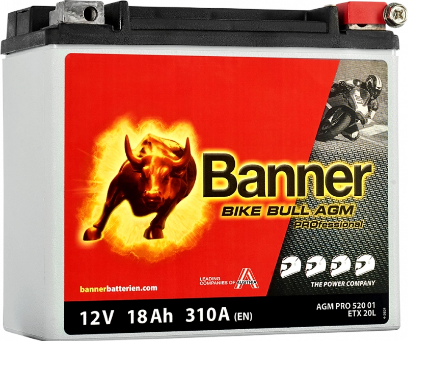 BIKE BULL AGM PROFESSIONAL AGM PRO 520 01 / ETX20L