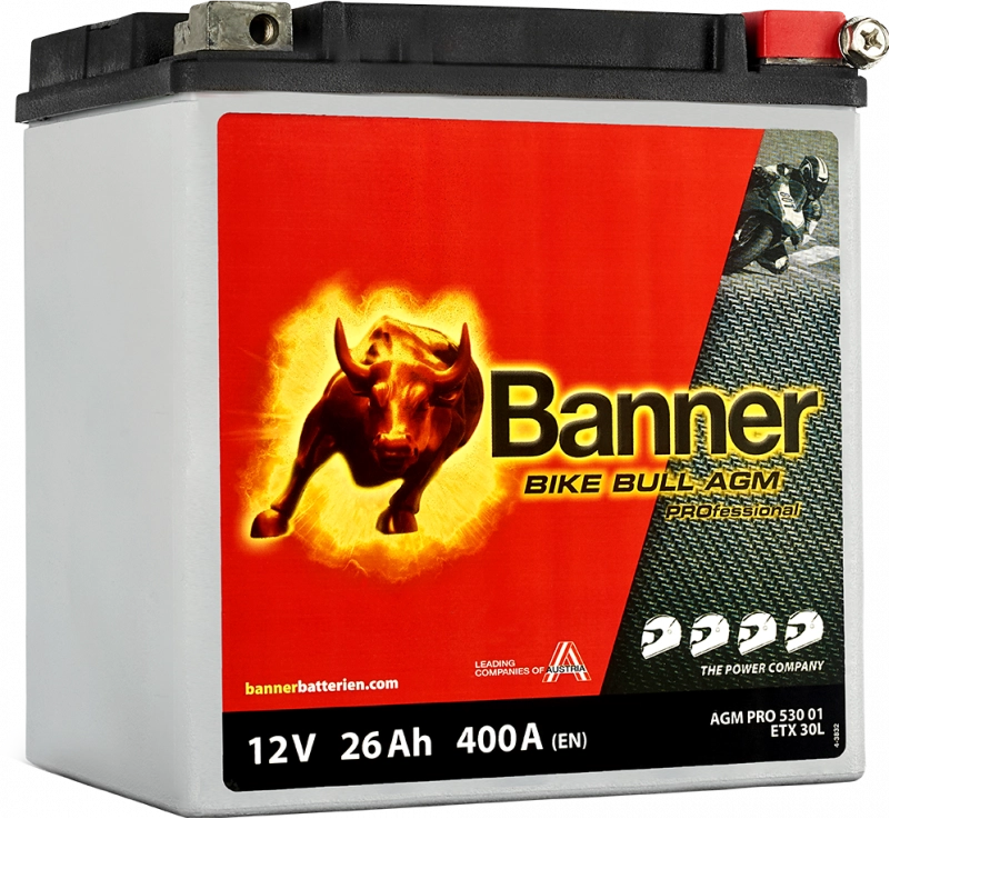 BIKE BULL AGM PROFESSIONAL AGM PRO 530 01 / ETX30L