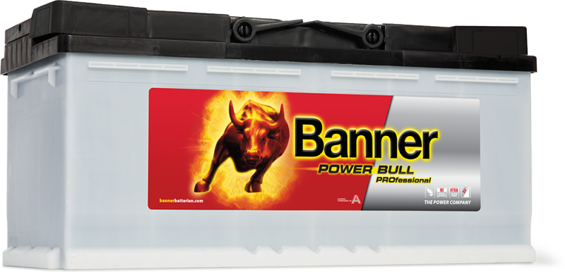 POWER BULL PROFESSIONAL (100Ah) PRO P100 40