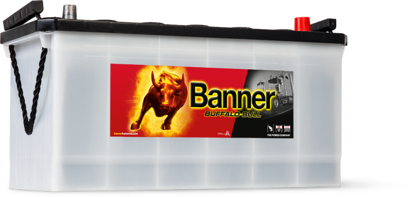 BUFFALO BULL 100Ah 600 26